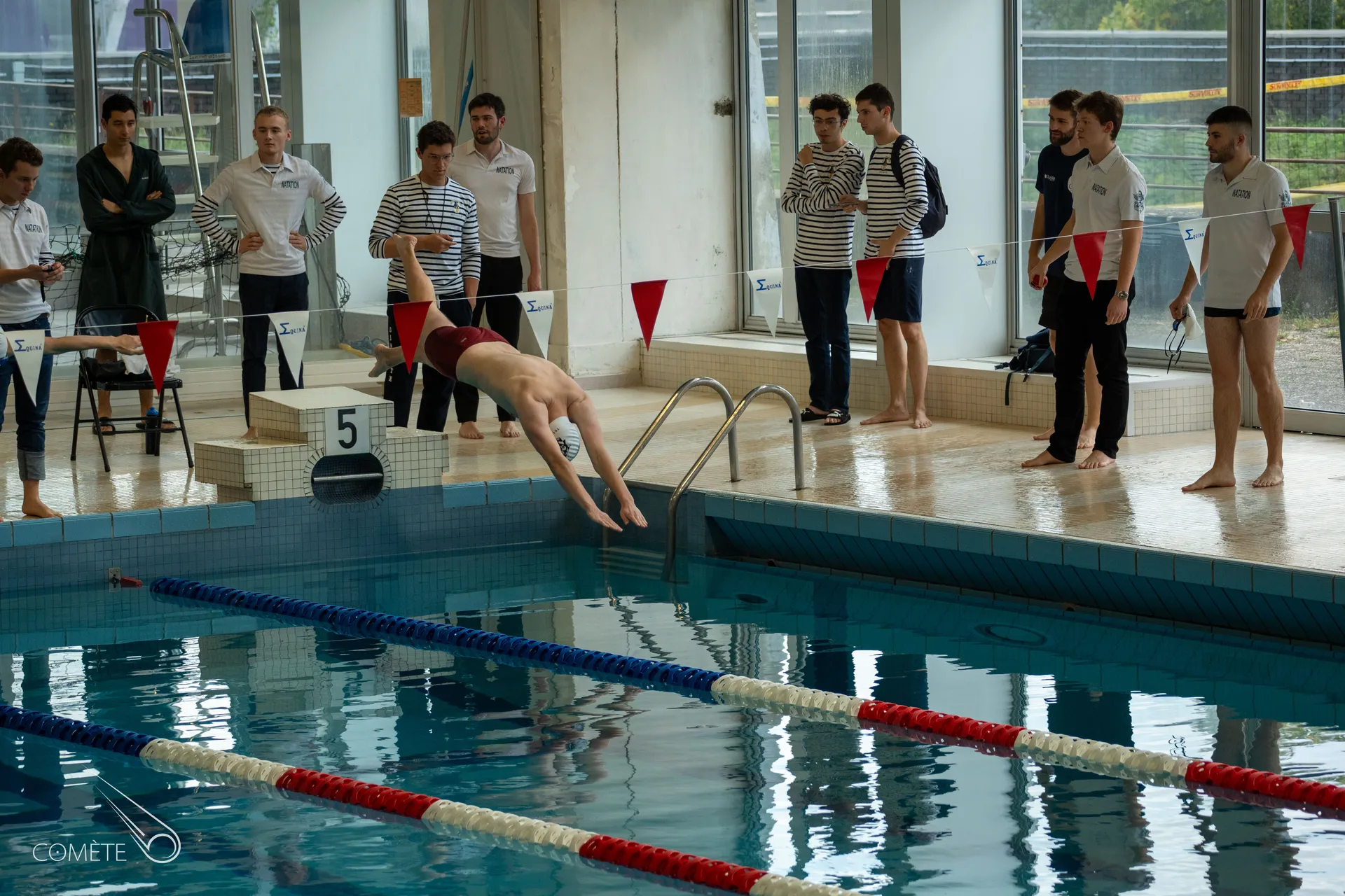 natation