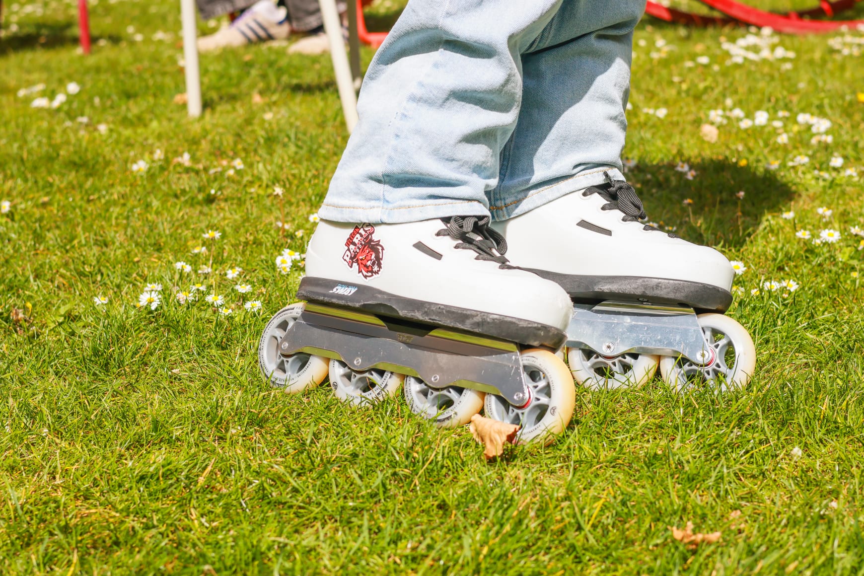 roller