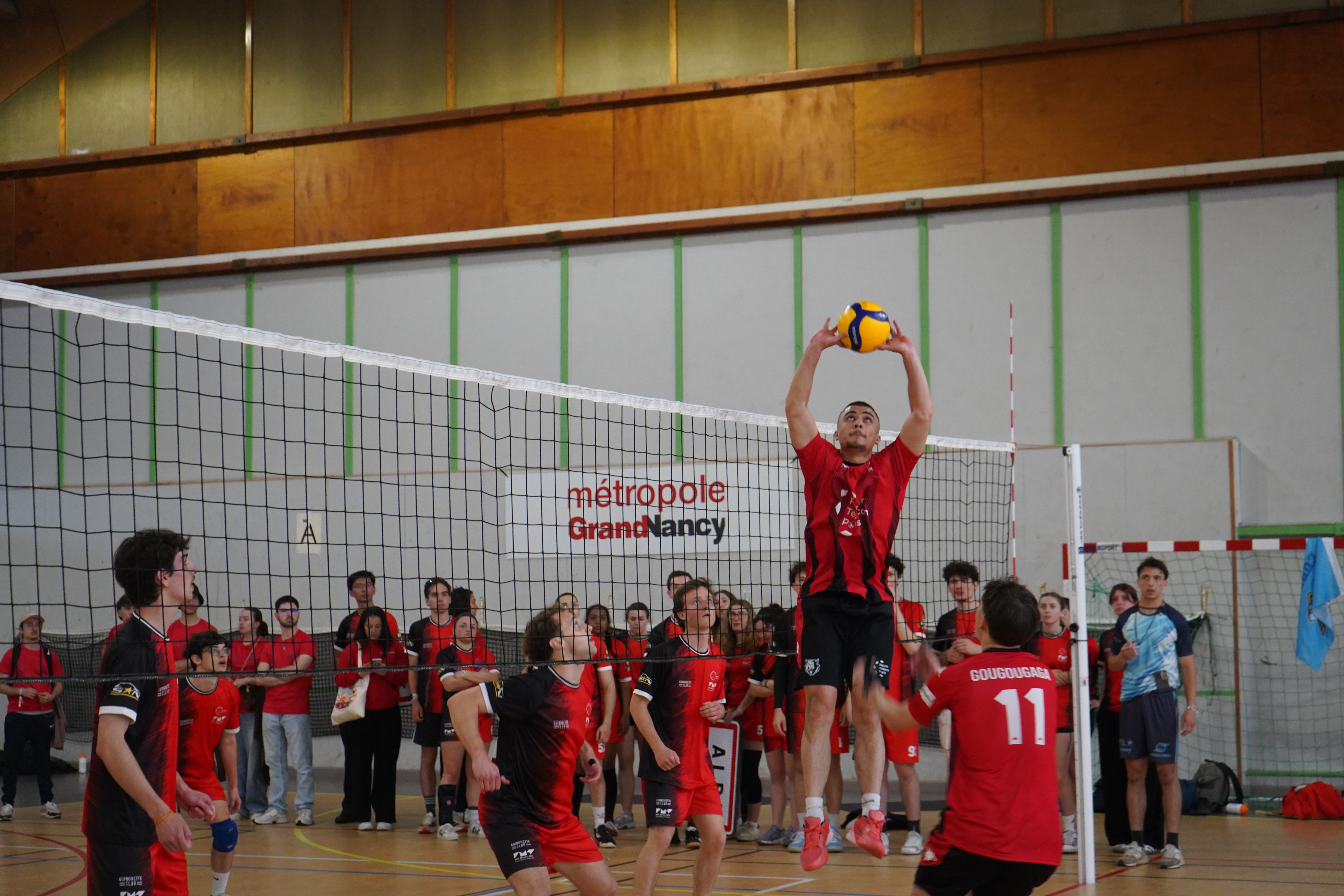 volleyball